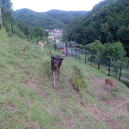 Pastravaria Romani Resort *